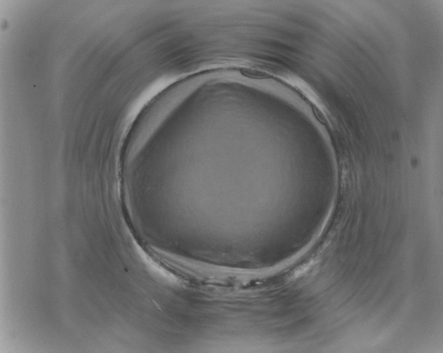 X0000071861143200607211911