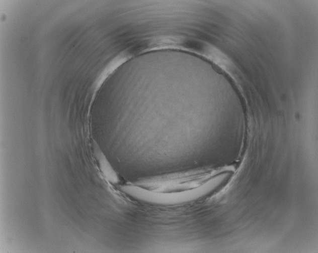 X0000071861145200607211911