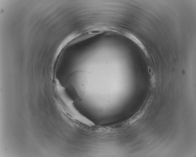 X0000071861146200607211911