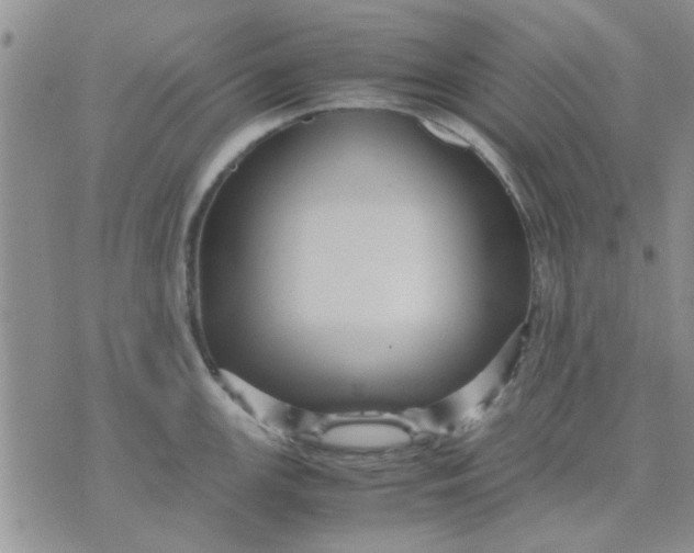 X0000071861147200607211911