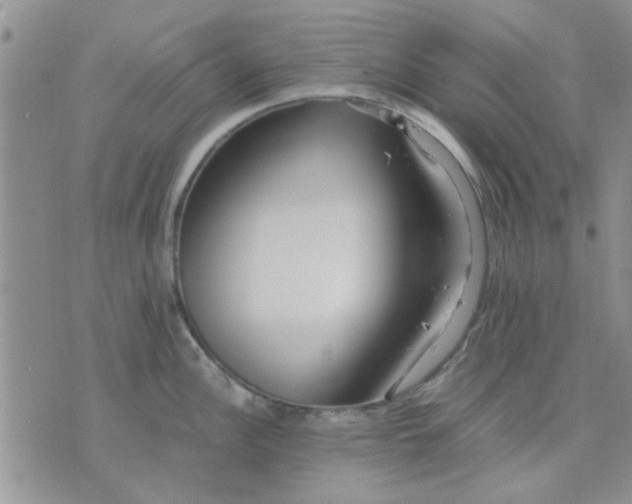 X0000071861148200607211911