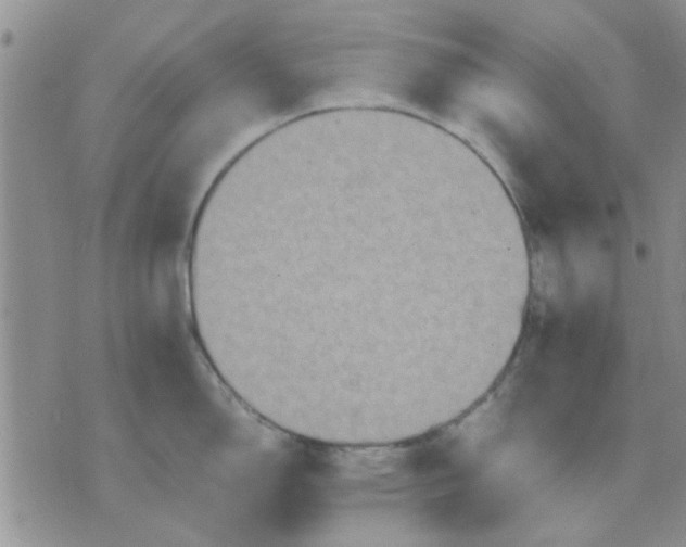 X0000071861150200607211911