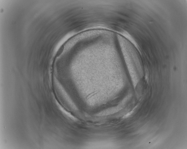 X0000071861151200607211911