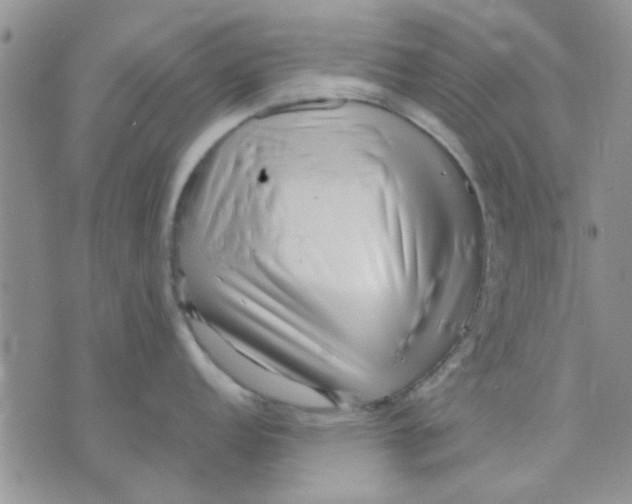 X0000071861152200607211911