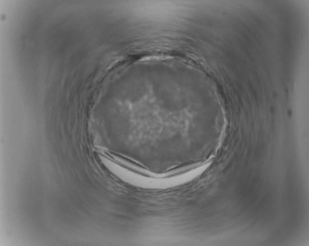 X0000071861153200607211910