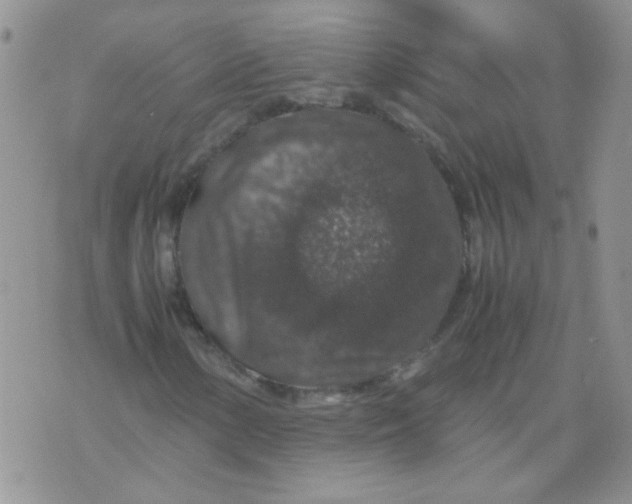 X0000071861154200607211910