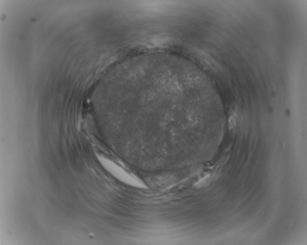 X0000071861156200607211910