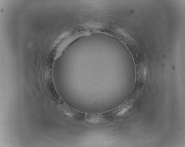 X0000071861157200607211910