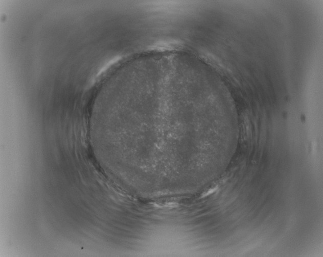 X0000071861158200607211910