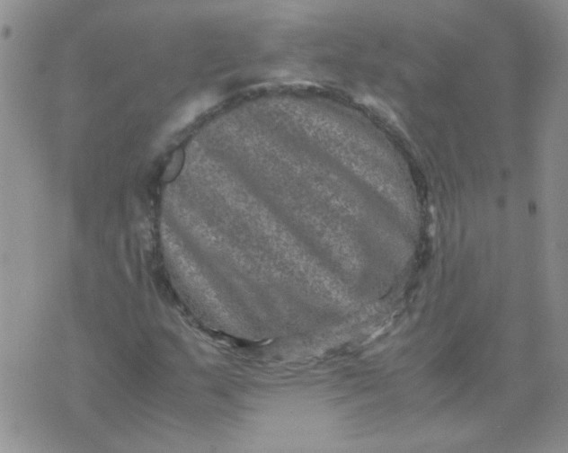 X0000071861159200607211910