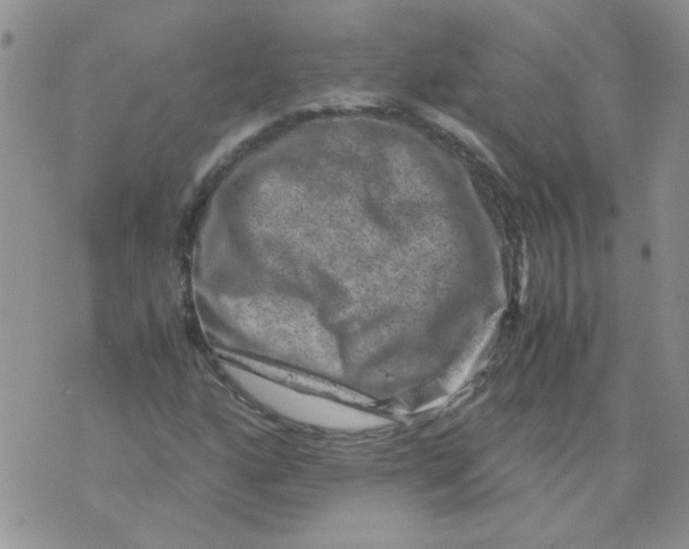 X0000071861160200607211910