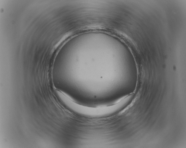 X0000071861162200607211910