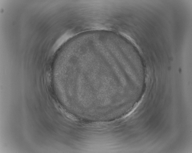 X0000071861163200607211910