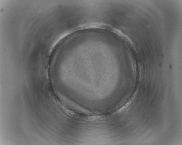 X0000071861166200607211910