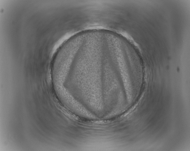 X0000071861167200607211910