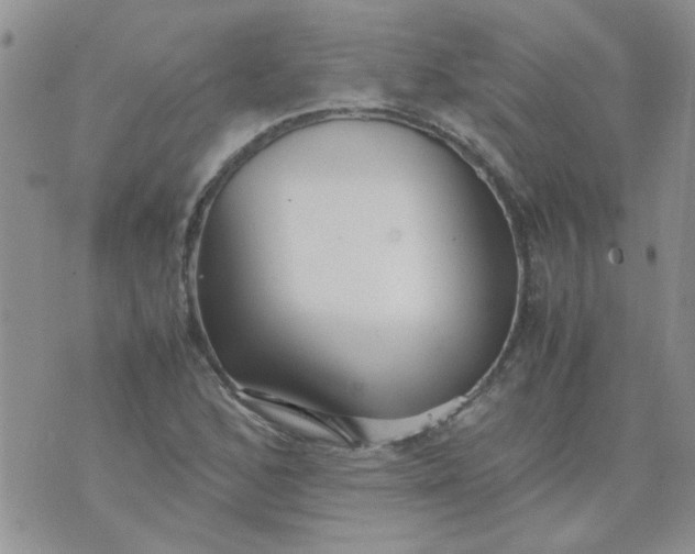 X0000071861168200607211910