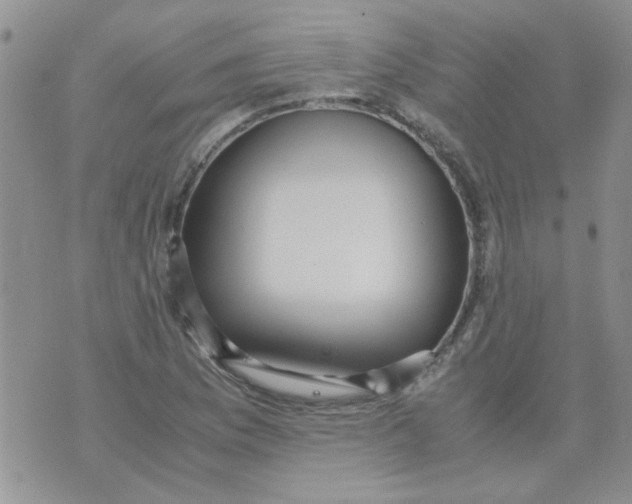 X0000071861169200607211910