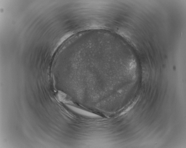 X0000071861170200607211910