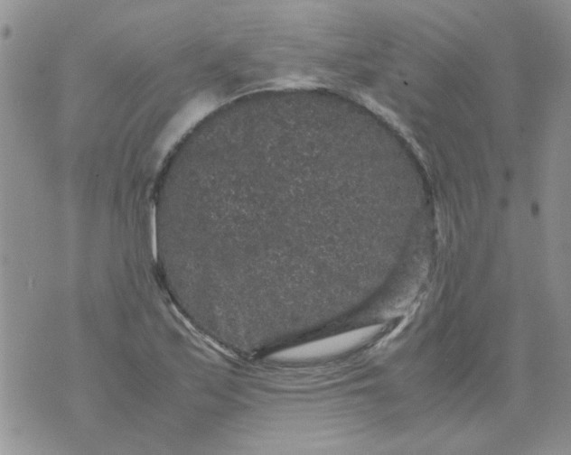 X0000071861171200607211910