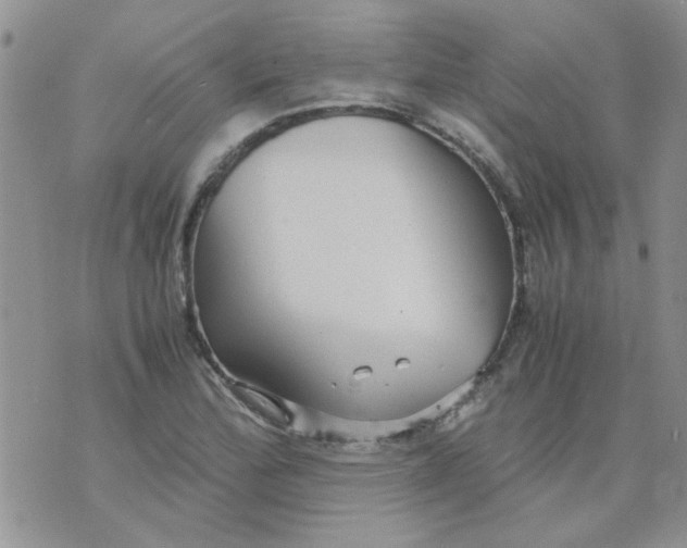 X0000071861172200607211910