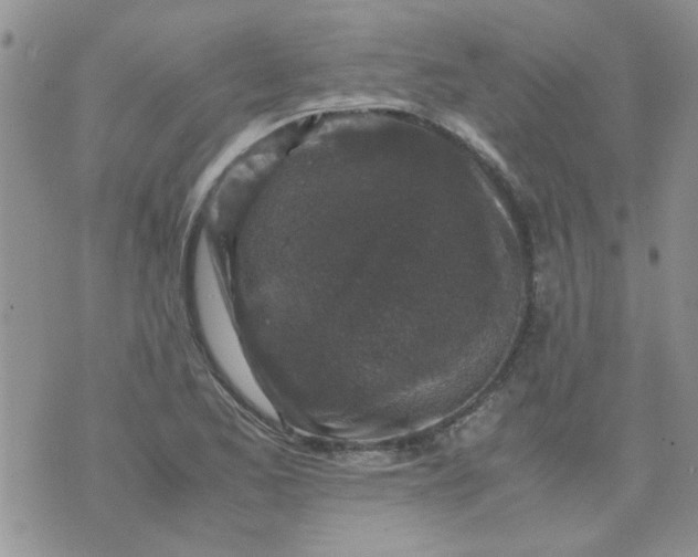 X0000071861173200607211910