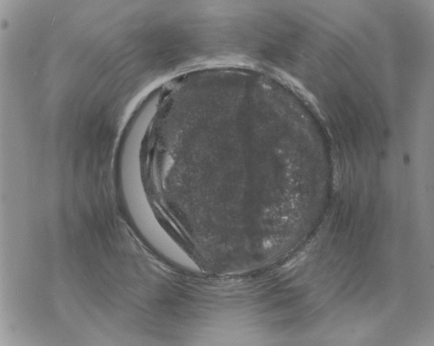 X0000071861174200607211910