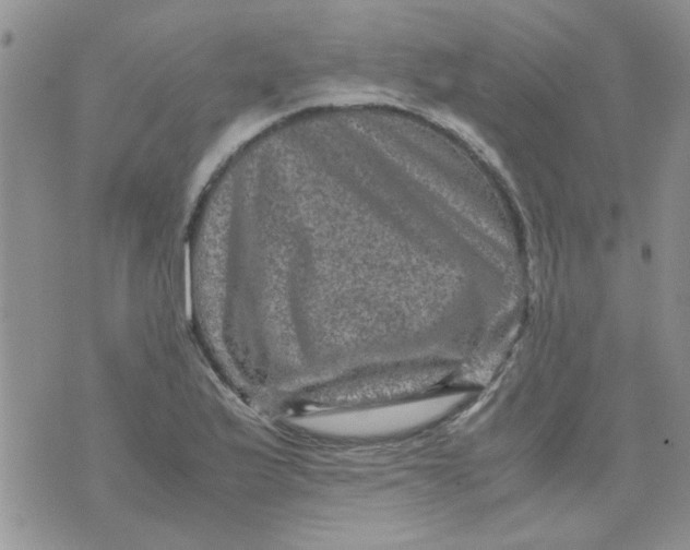 X0000071861175200607211910