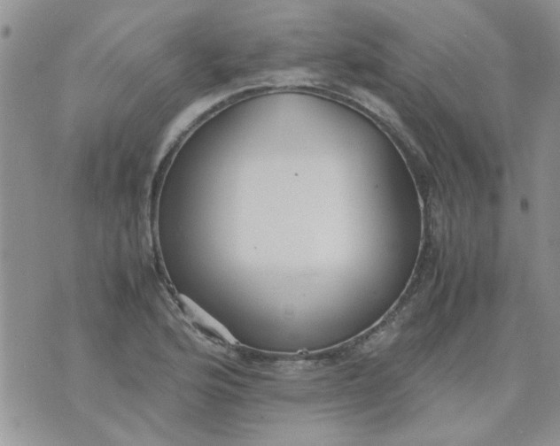 X0000071861176200607211910