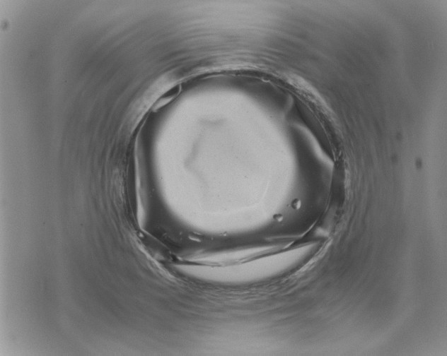 X0000071861177200607211910