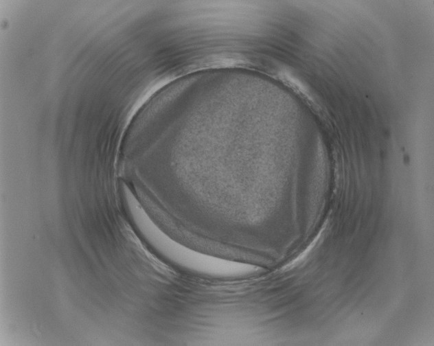 X0000071861178200607211910