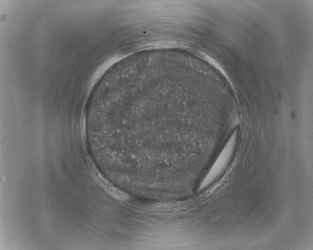 X0000071861179200607211910