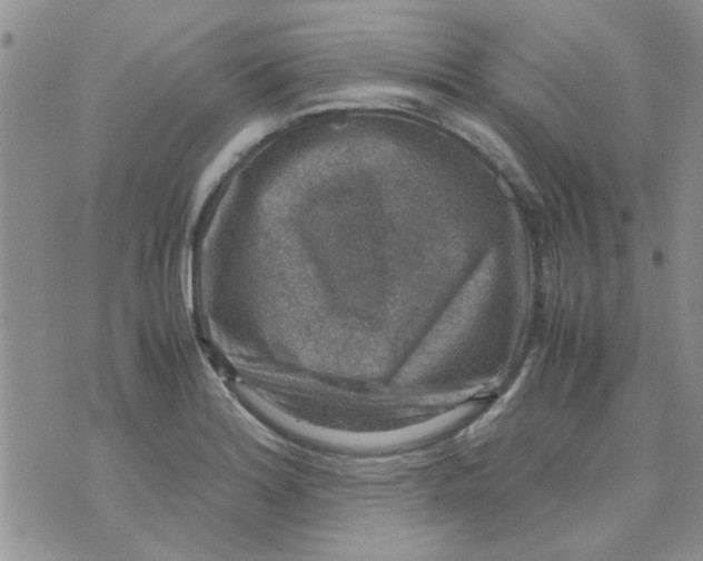 X0000071861180200607211910