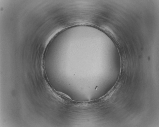 X0000071861182200607211910