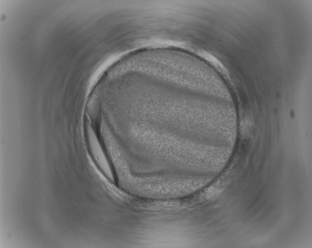 X0000071861183200607211910