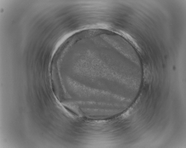 X0000071861184200607211910