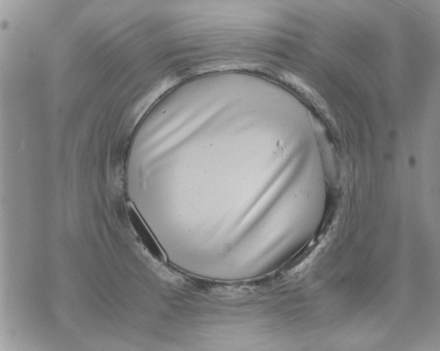 X0000071861185200607211909