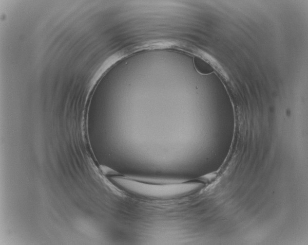 X0000071861186200607211909