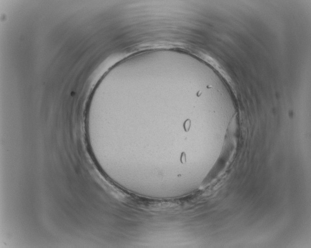 X0000071861187200607211909