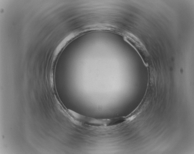 X0000071861188200607211909