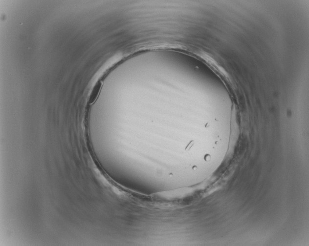 X0000071861189200607211909