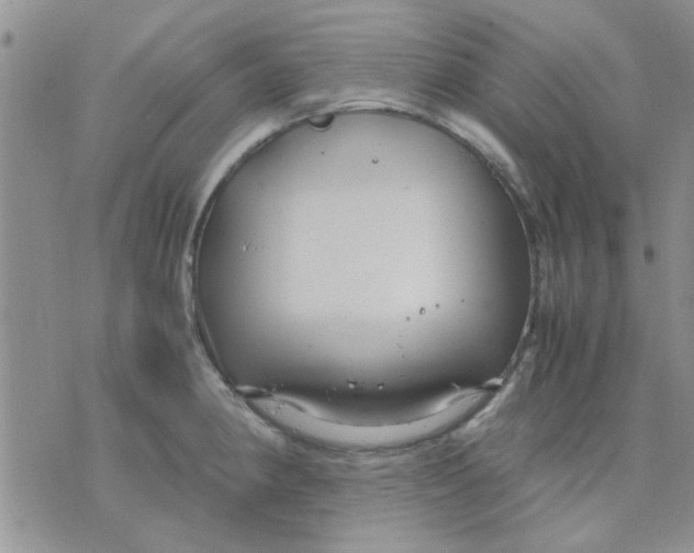 X0000071861190200607211909