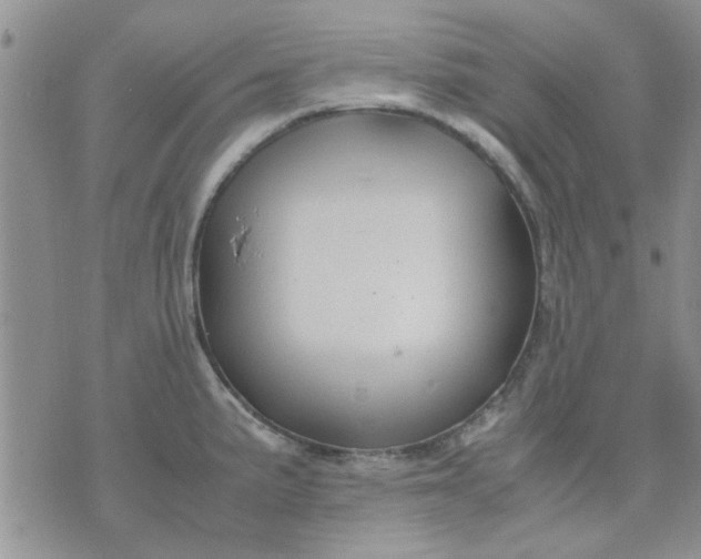 X0000071861191200607211909