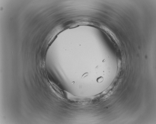 X0000071861193200607211909