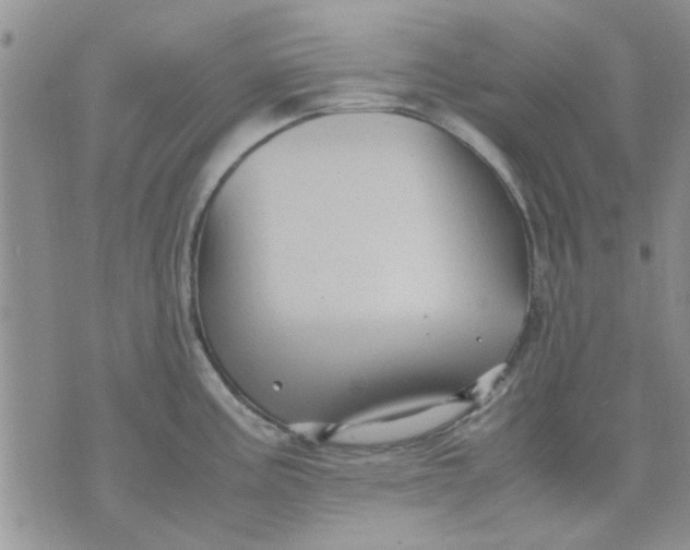 X0000071861195200607211909