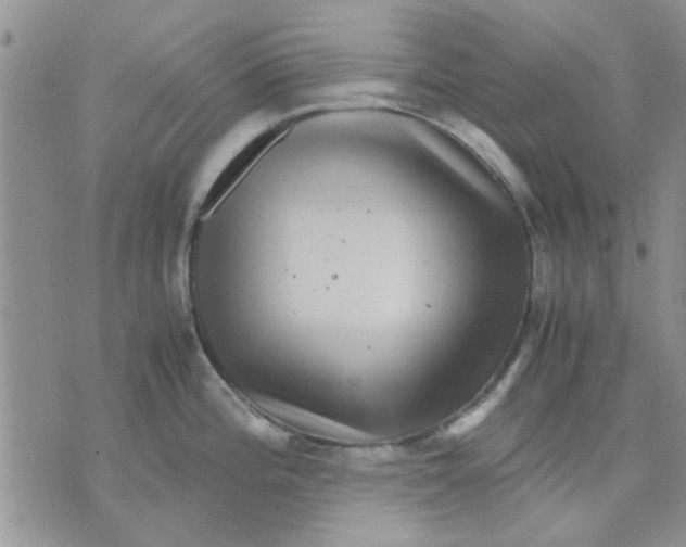 X0000071861196200607211909