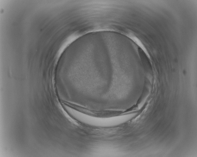 X0000071861197200607211909