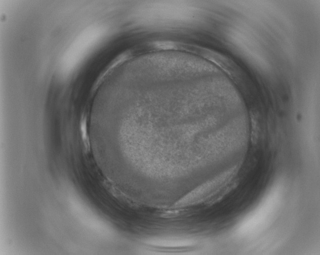 X0000071861198200607211909