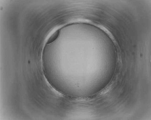 X0000071861199200607211909