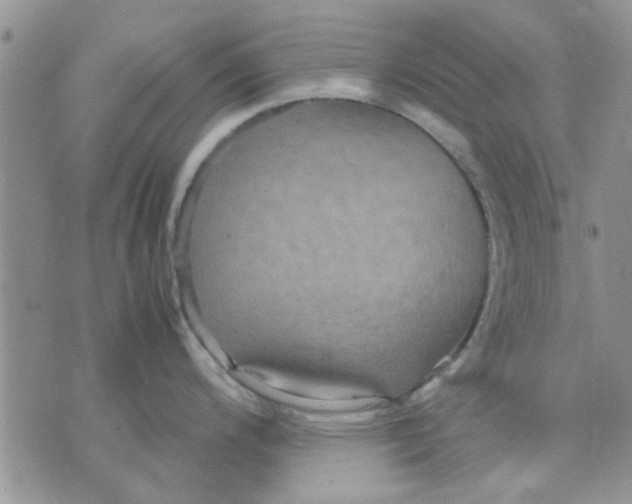 X0000071861200200607211909