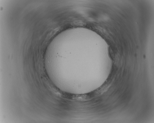 X0000071861201200607211908